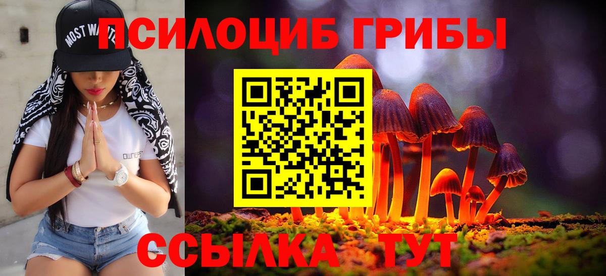 Псилоцибиновые грибы MAGIC MUSHROOMS  Вход с VPN  Псилоцибиновые грибы Cubensis  где купить наркоту  Печора 