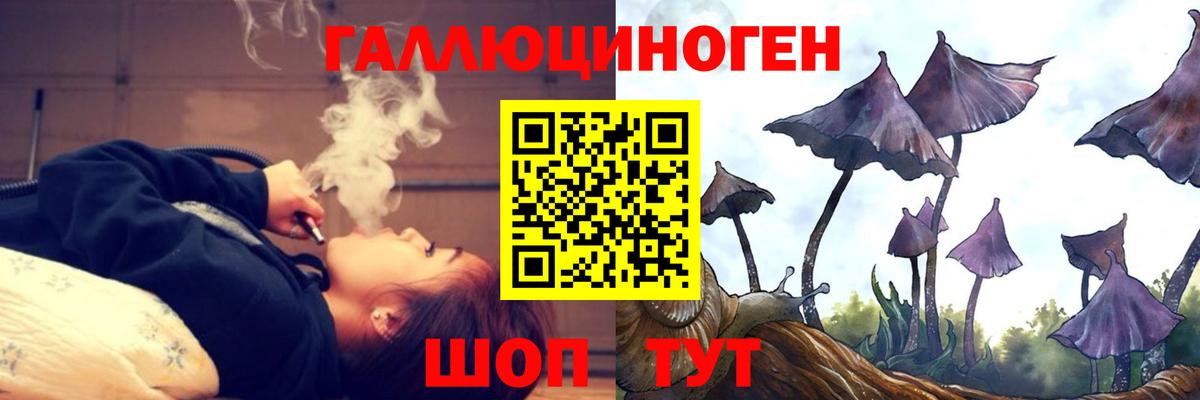 Галлюциногенные грибы Psilocybe Печора